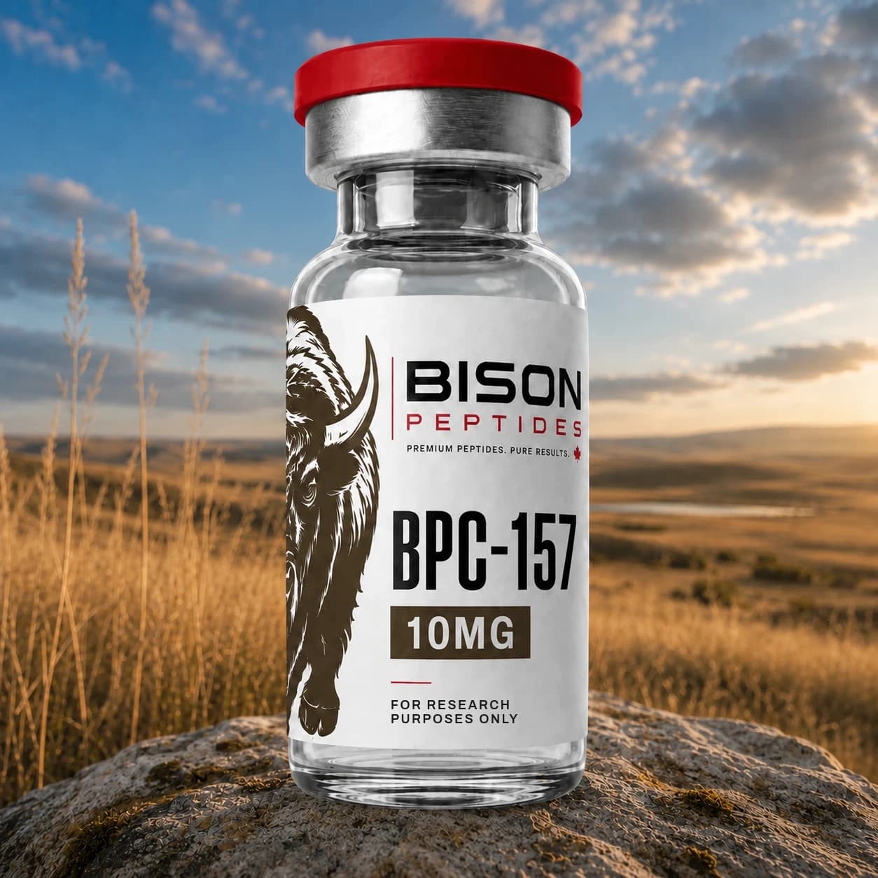 BPC-157 10mg research peptide vial